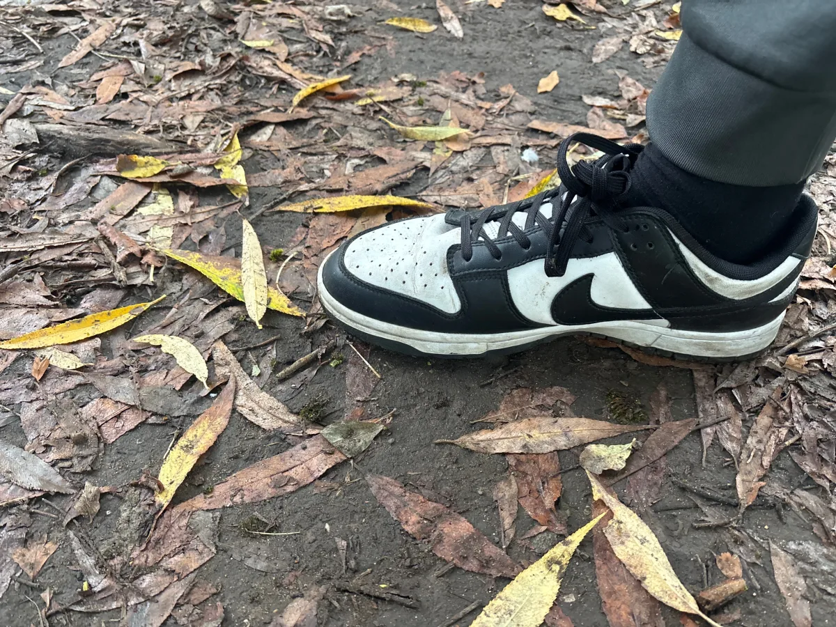 My shoe